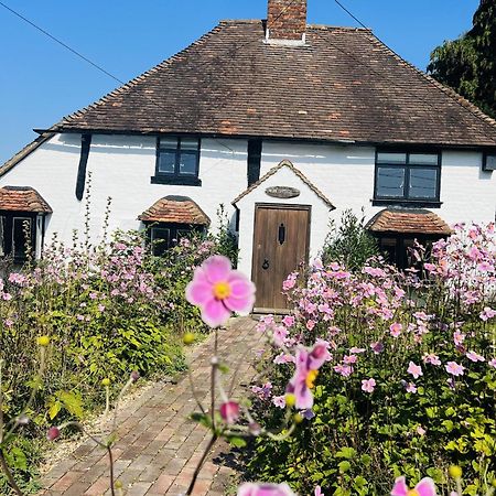 Local Walks Pub Gardens Pet Friendly Landscaped Gardens And Free Private Parking Villa Doddington  Exteriör bild